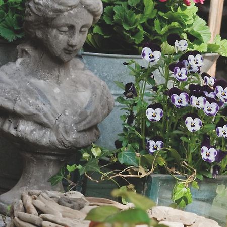 Breusjterhofke Bed & Breakfast ไอส์เดอ ภายนอก รูปภาพ